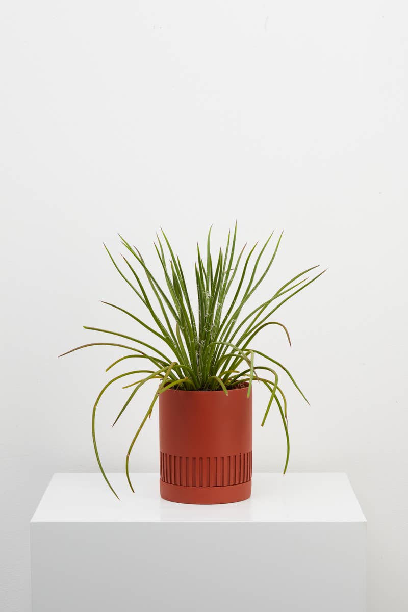 Etch Planter - Neptune