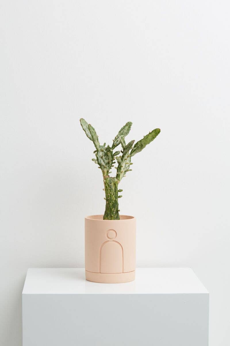 Etch Planter - Salt